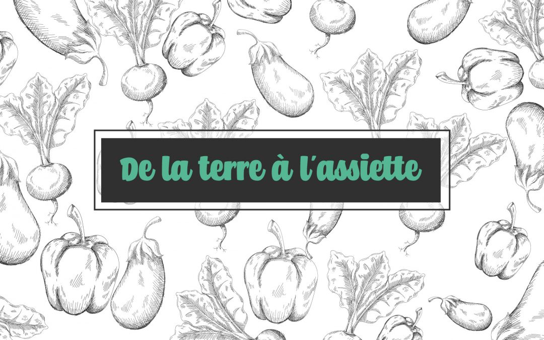 De la Terre à l&rsquo;assiette